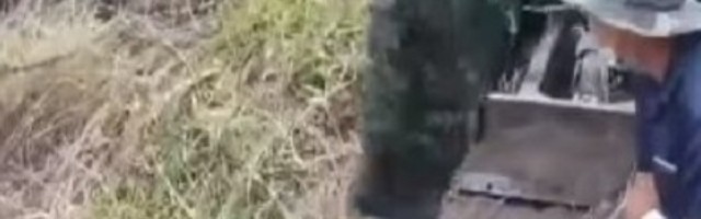 Muškarac je čistio dvorište, a onda je u travi ugledao nešto što ga je zaprepastilo (VIDEO)