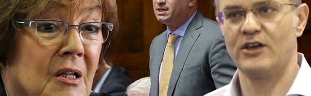 OBRAČUN U SRPSKOJ OPOZICIJI: Pajtić se šlihta Jeremiću, VESNA PEŠIĆ GA ZAKUCALA!