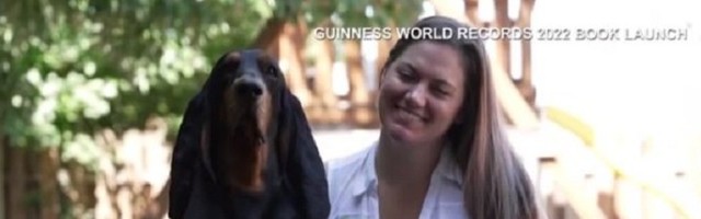 Pas Lou ima uši od 34 centimetra i najduže su na svetu