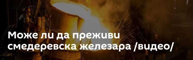 Mоже ли да преживи смедеревска железара /видео/