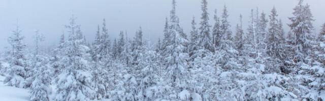 Ванредна ситуација на североистоку Словеније