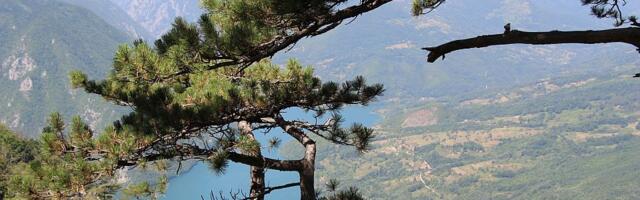 Opredeljeno 150 miliona za unapređenje ruralnog turizma: Rok za zahteve 31. mart