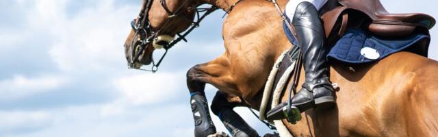 Milionska grla evakuisana iz Katara: Specijalnim letovima prevezeno 147 elitnih konja