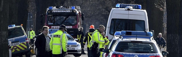 DRVO UBILO BEBU, DEVOJČICU I MAJKU! Stravični detalji horora u Nemačkoj! Poginuli na Uskrs