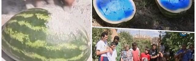 SAMO SU ŽIVINE LUBENICE BILE PLAVE I IMALE UKUS JAGNJETINE?! Skupilo se celo selo, a Srbija gledala neverovatan trik iz Banata za koji je on bio majstor! VIDEO