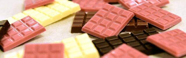 U Belgiji otvoren najveći distributivni centar čokolade na svetu