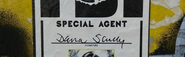 Skali efekat: Zašto devojčice koje vole Dosije X češće biraju nauku?