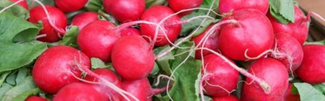 Rotkvice čiste jetru kao metla, ali kriju opasnu zamku: Proverite ko nikako ne sme da ih jede