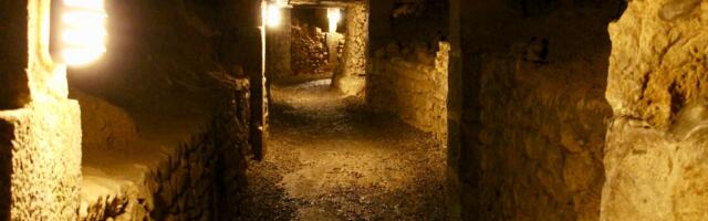 O hrabrim novosadskim vatrogascima priča cela Srbija: Zatekli šok scenu u katakombama, usledio herojski čin