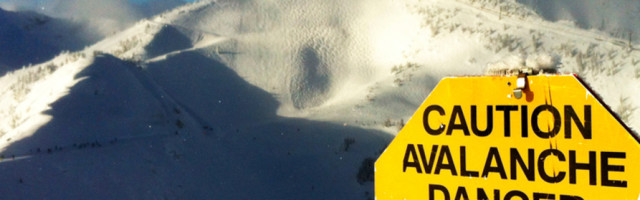 Švajcarska: Par spasen iz lavine zahvaljujući lavežu pasa