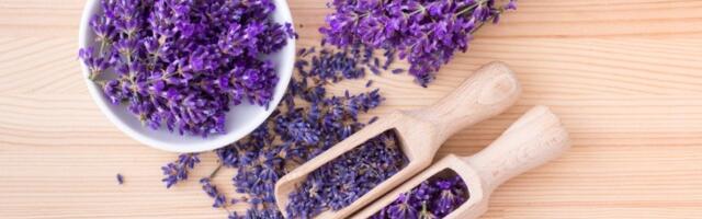 Lekovita biljka na dohvat ruke! Idealna za terasu, a ovako se sadi