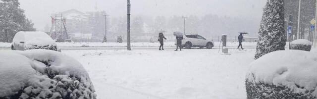 Sneg u Beogradu: Sve se beli, temperatura u minusu (FOTO/VIDEO)