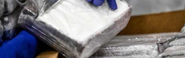 Полиција запленила више од 30 килограма кокаина, међу ухапшенима држављанин Србије