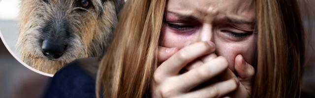 IMAŠ LI DUŠE I SRCA, ŠTA TI JE PAS ZGREŠIO? Američki maršal KRVNIČKI šutnuo životinju i slomio mu REBRO - SVET ŠOKIRAN JEZIVIM SNIMKOM! (VIDEO)