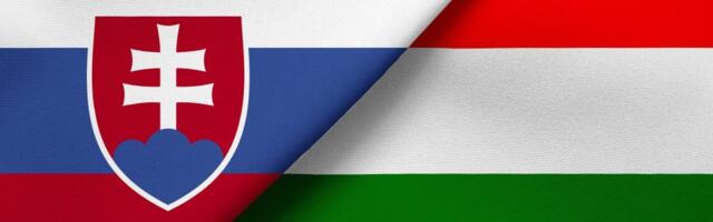 Prijateljstvo uprkos razlikama: Šta za Slovačku znači nova vlada u Mađarskoj?