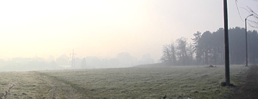 HLADNO I MALOVITO UZ ROSULJU