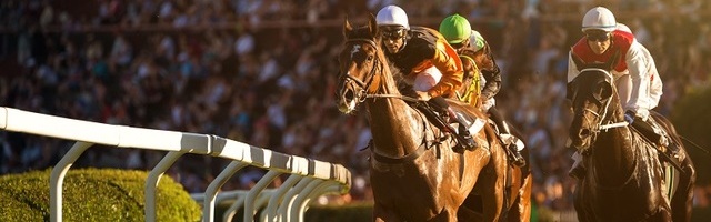 Cougar Country prvi izbor, It's a Sweet One autsajder o kojem vredi razmisliti