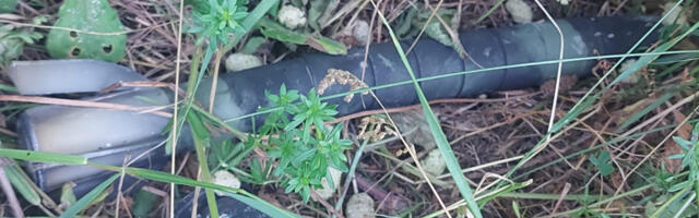 VAŽAN APEL IZ KRAGUJEVCA "Ako vidite nešto sumnjivo odmah prijavite i nikako ne dirajte"