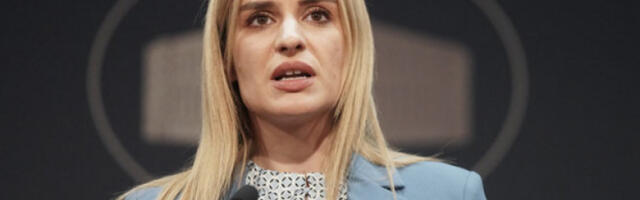 Ђурђевић Стаменковски: Европа не сме бити администрација туђих интереса