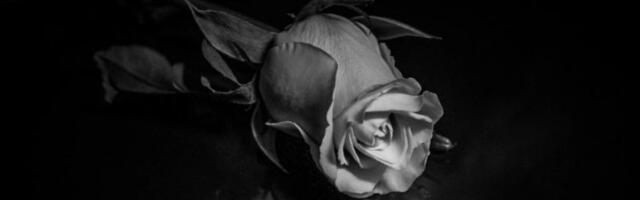 TUGA U UŽICU! Preminula doktorka Radmila Nikolić-Tica