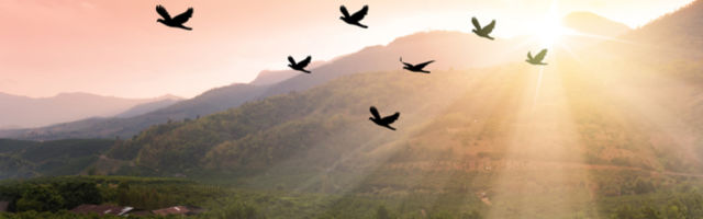 Poslednjih dana sve učestalija pojava, evo o čemu se radi