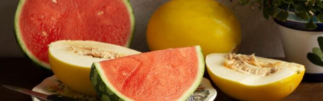 Pitanje leta: DINJA vs. LUBENICA – ko pobeđuje u ovoj sočnoj letnjoj borbi?