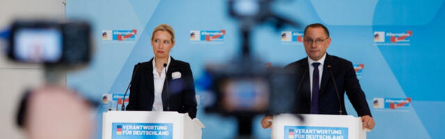 АфД достигла рекордну подршку у Немачкој