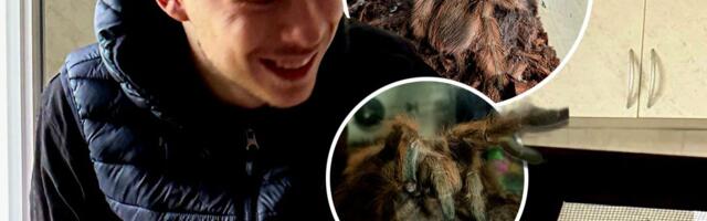 Lazara hteli da izbace iz kuće zbog ljubimice Anđe! Liči na dlakavi krompir, a iako je voli, OVO ni on ne sme