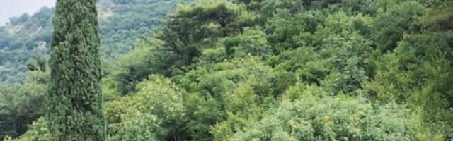 BEŽI IZ GRADA U ŠUMU: Ćerka POZNATOG GLUMCA uživa u IZOLOVANOJ VIKENDICI - jedva se razaznaje od grana, pogled na zelenilo NEMA CENU! (FOTO)