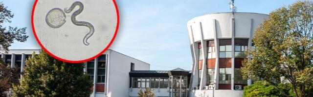 NADA: Institut za javno zdravlje odbio da da informacije od javnog značaja, u kom periodu je bilo crva u vodi