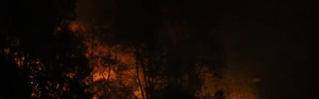 Нови Јужни Велс: евакуација због шумских пожара