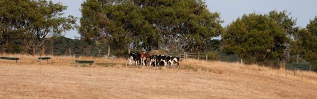 Propast srpske poljoprivrede (2)