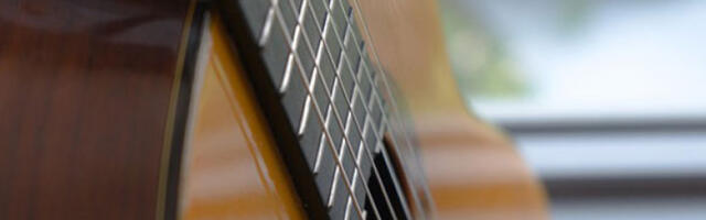 Концерт гитаристе Гергеља Барте