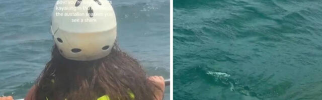 “Bilo je suza”: Žene snimile jeziv bliski susret sa morskom nemani, odjednom je nestala (VIDEO)