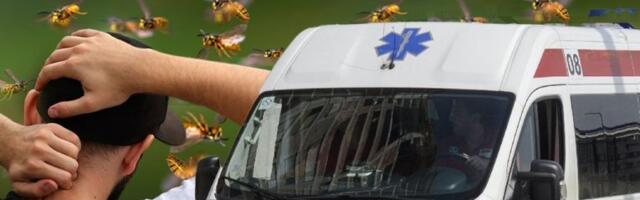 KOBNA GREŠKA POSLE UBODA OSE ILI PČELE: Ova reakcija može biti fatalna za samo 15 minuta!