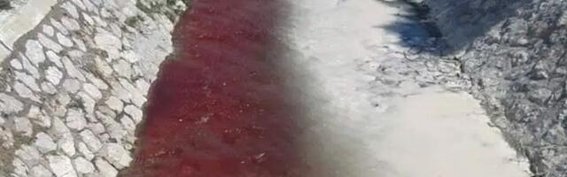 Novi Pazar: Krivične prijave protiv Veterinarske inspekcije zbog divljih klanica