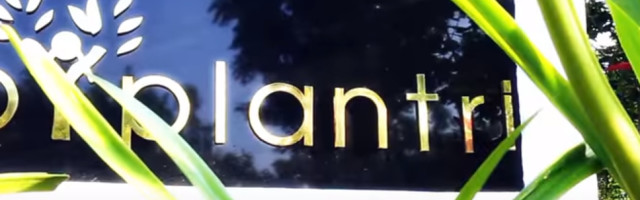 Ovo selo u Indiji posadi stotinu stabala kada se rodi žensko!