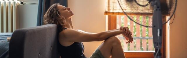 Kako uređaji "JEDU STRUJU" tokom leta: Uradite OVO i u vašem domu će biti hladnije, a računi manji