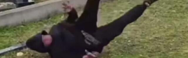 "UŠAO ĐAVO U NJEGA"! Snimak jezivog ponašanja na groblju tokom obeležavanja Zadušnica zgrozio ceo Balkan (VIDEO)