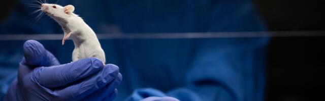 Novi akcioni plan za farmaceutsku industriju: Kompanije ubrzavaju prelazak na testiranje bez životinja