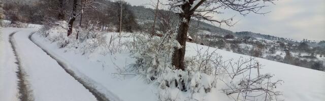 Prelep VIDEO sa zavejane srpske planine: Čovek na putu sreo uplašenu životinju koja je dočekala svoj prvi SNEG