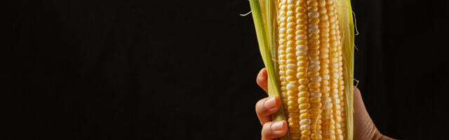 Продуктна берза: промет ове седмице 1.621 тона