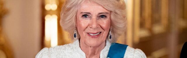 Ceo svet gleda u nove obrve kraljice Kamile i ne može da se načudi koliko je platila da bi ovako izgledala