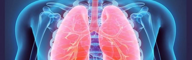 (VIDEO) STVAVIČAN SNIMAK KOJI POKAZUJE ŠTA KOROVAVIRUS RADI PLUĆIMA Pregled pokazuje krvarenje i čepove sluzi