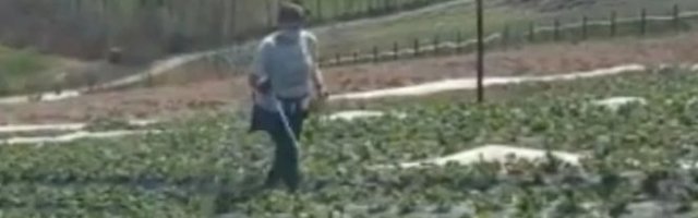 NAŠA POZNATA GLUMICA VOĆARSTVOM ZAMENILA GLUMU! Daleko od Beograda uzgaja OVO - Ima mnogo posla! (VIDEO)