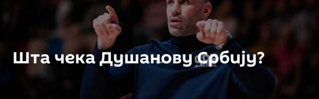 Шта чека Душанову Србију?