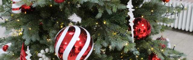 Завод за трансфузију крви Војводине даваоцима додељује новогодишње пакетиће за децу