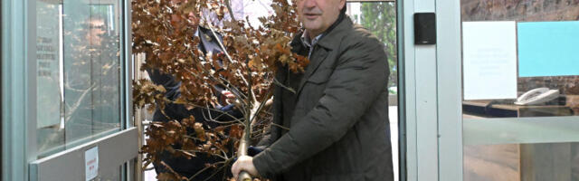 Уношењем бадњака обележен Бадњи дан у Министарству одбране