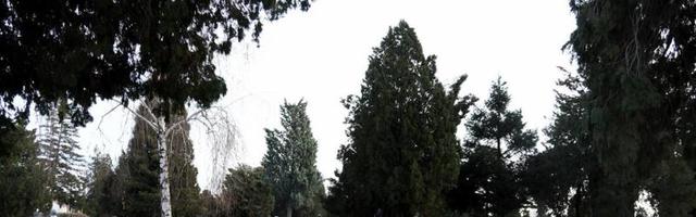 Neko krade fotografije mladih žena sa nadgrobnih spomenika i ovo je najbizarniji slučaj na Balkanu
