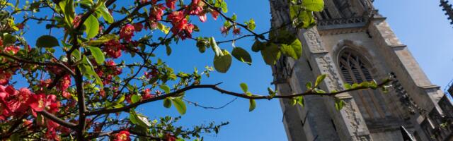 Protiv hrišćanskog nacionalizma – međunarodna pravoslavna zajednica i rat